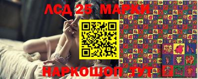 гашик Кандалакша