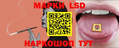 гашик Кандалакша