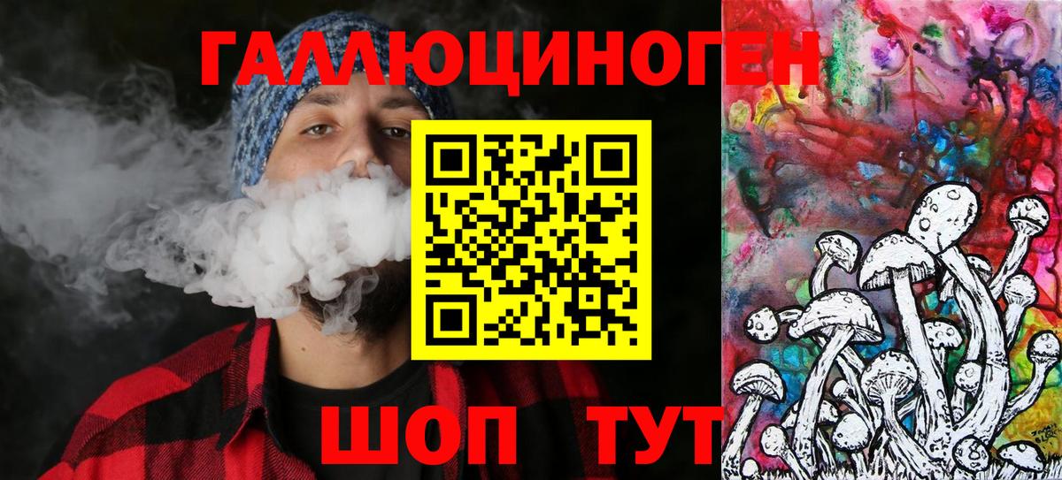 Вологда  Галлюциногенные грибы GOLDEN TEACHER  Вход с VPN 